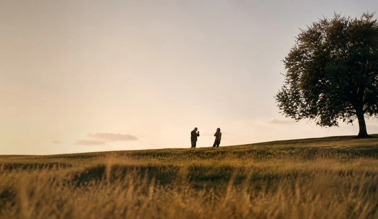 Due persone camminano in un campo al tramonto accanto a un albero.
